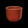 ASA Selection becher, lobster