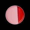 ASA Selection brotteller, strawberry smoothie