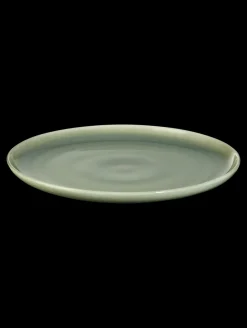 ASA Selection Essteller, Agave