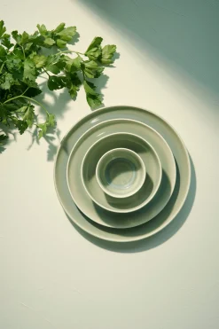 ASA Selection Essteller, Agave