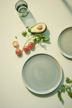 ASA Selection Essteller, Agave