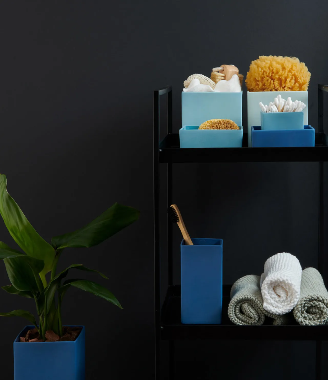 ASA Selection schale, aqua