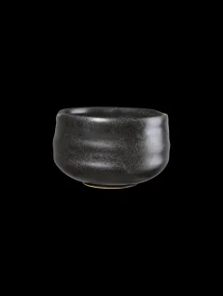 ASA Selection schale, kombu