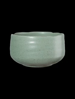 ASA Selection schale, matsu