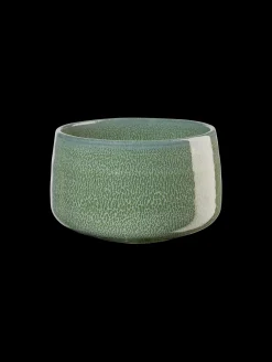 ASA Selection schale, matsu shiny