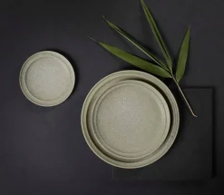 ASA Selection starterset nesuto bonsai 18-teilig