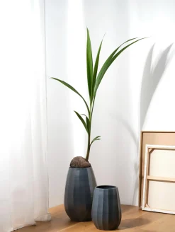 ASA Selection vase, anthracite