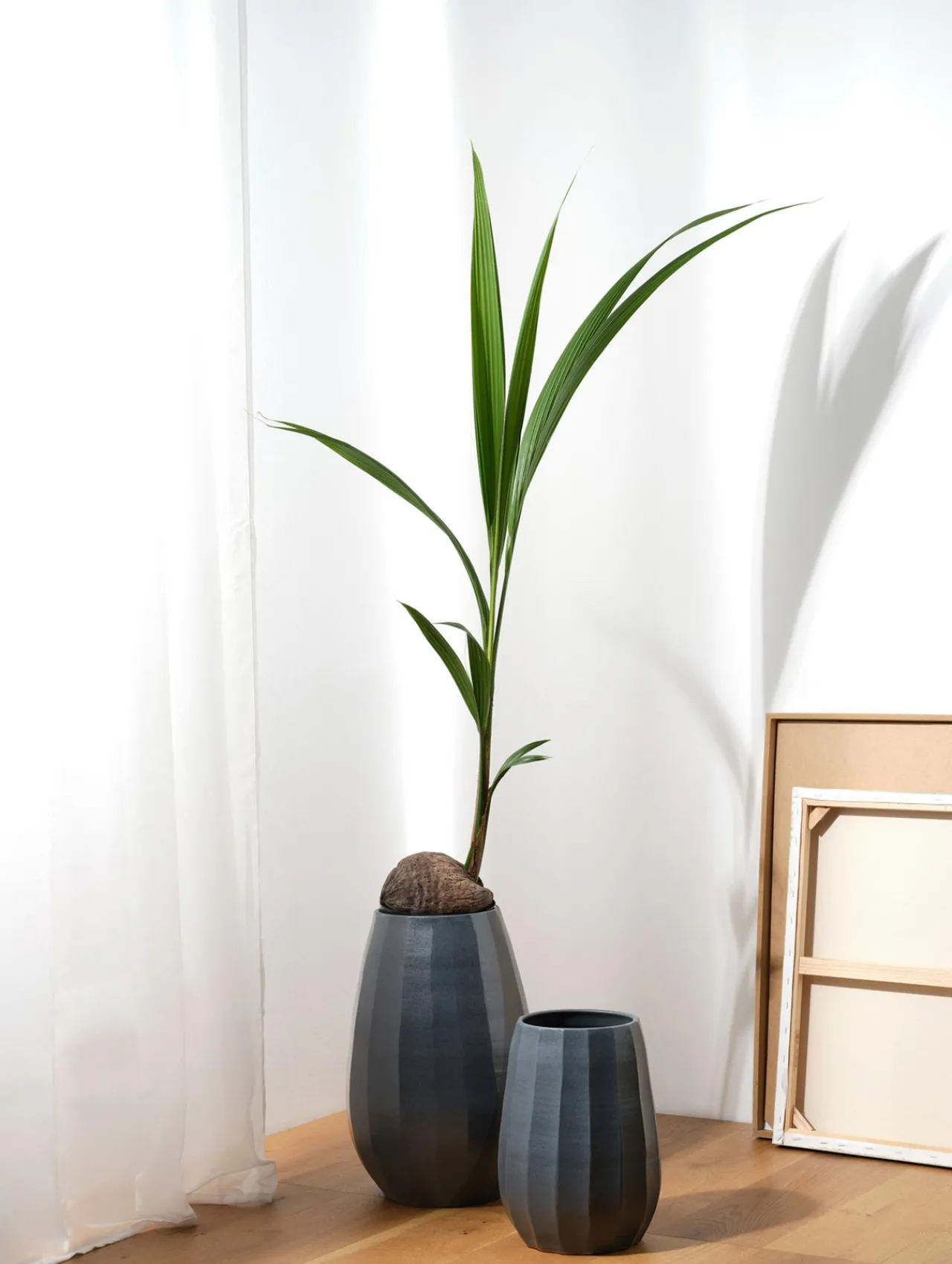 ASA Selection vase, anthracite