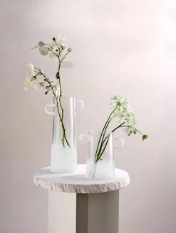 ASA Selection vase, frosted