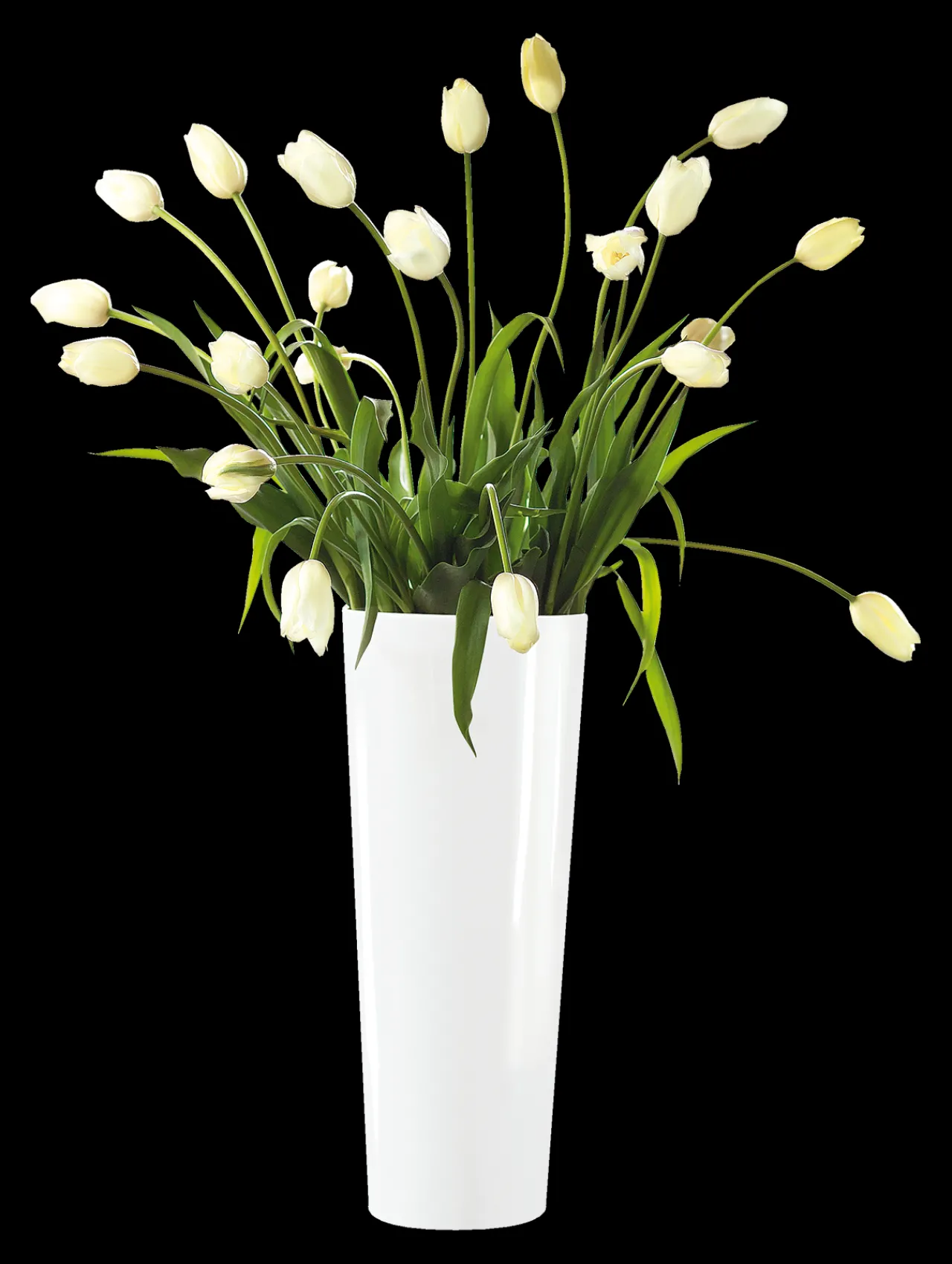ASA Selection vase, weiß